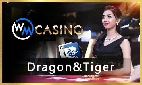 Diverse slot machines and Jili games at nn777
